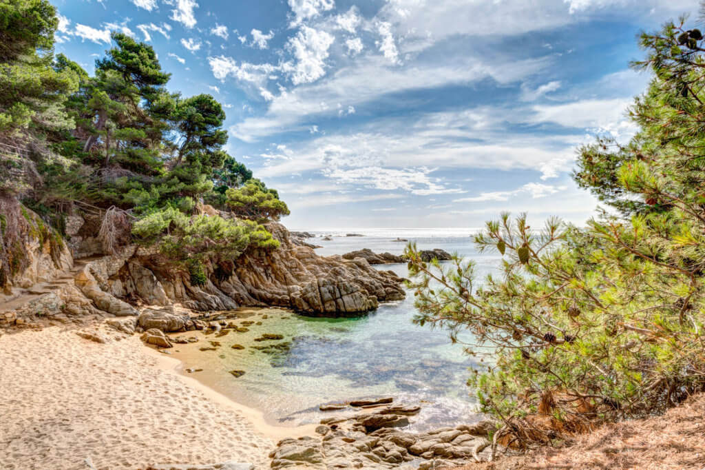 La playa Cala dels Esculls se encuentra en el municipio de Calonge, perteneciente a la provincia de Girona y a la comunidad autónoma de Cataluña
