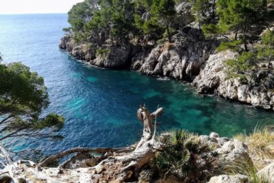 La playa Cala en gossalba se encuentra en el municipio de Pollença