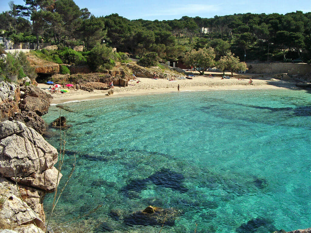 La playa Cala Gat se encuentra en el municipio de Santa Eulalia del Río, perteneciente a la provincia de Ibiza y a la comunidad autónoma de Islas Baleares