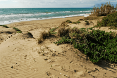 La playa Artola se encuentra en el municipio de Marbella