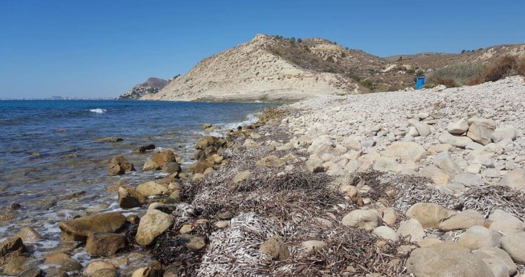 La playa Carritxal se encuentra en el municipio de Villajoyosa, perteneciente a la provincia de Alicante y a la comunidad autónoma de Comunidad Valenciana