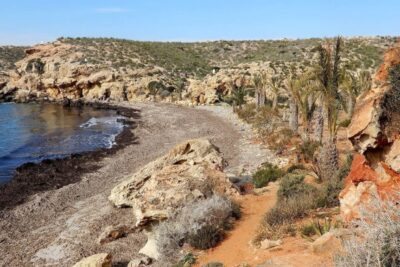 La playa El Palomarico / Cala del Muerto se encuentra en el municipio de Mazarrón