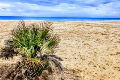 La playa Prat d'En Forés i Regueral se encuentra en el municipio de Cambrils