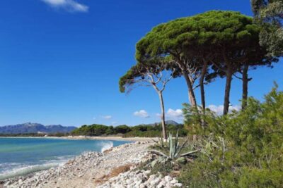 La playa Rifà se encuentra en el municipio de Mont-roig del Camp