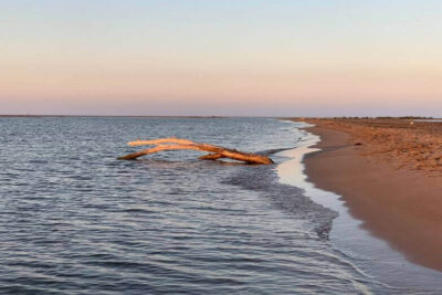 La playa Riumar / Riomar se encuentra en el municipio de Deltebre