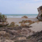Playa Son Bauló en Santa Margalida