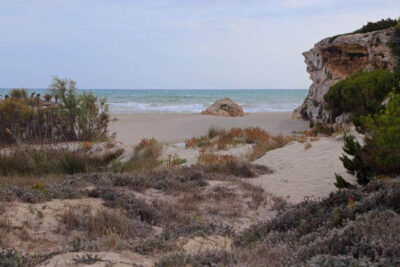 La playa Son Bauló se encuentra en el municipio de Santa Margalida