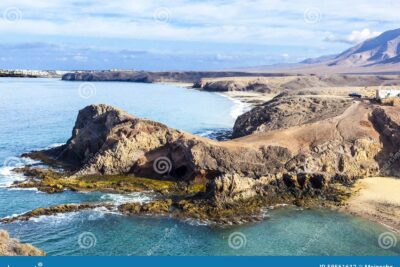 playa el papagayo loro