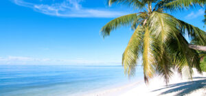 playa la palmera