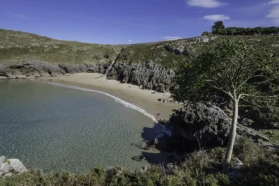 playa la tayada