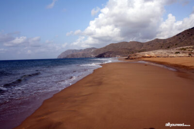 playa larga en cartagena