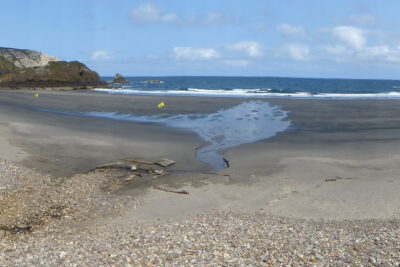 playa munielles