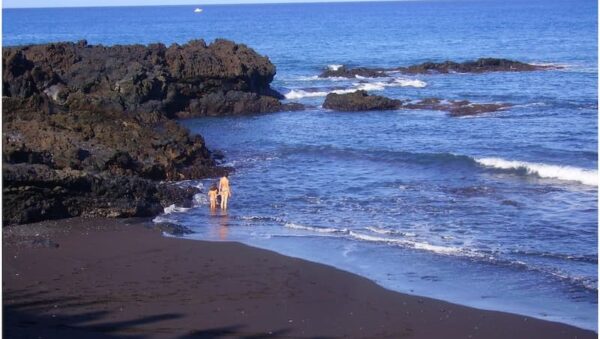 playa nueva