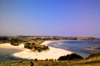 playa oyambre