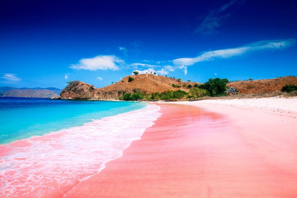 playa ros