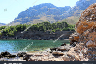 cala mata en art