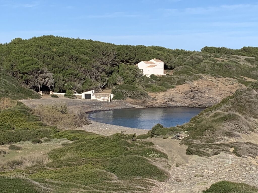 cala morella nou