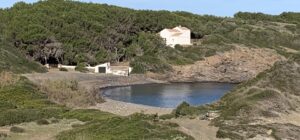 cala morella nou