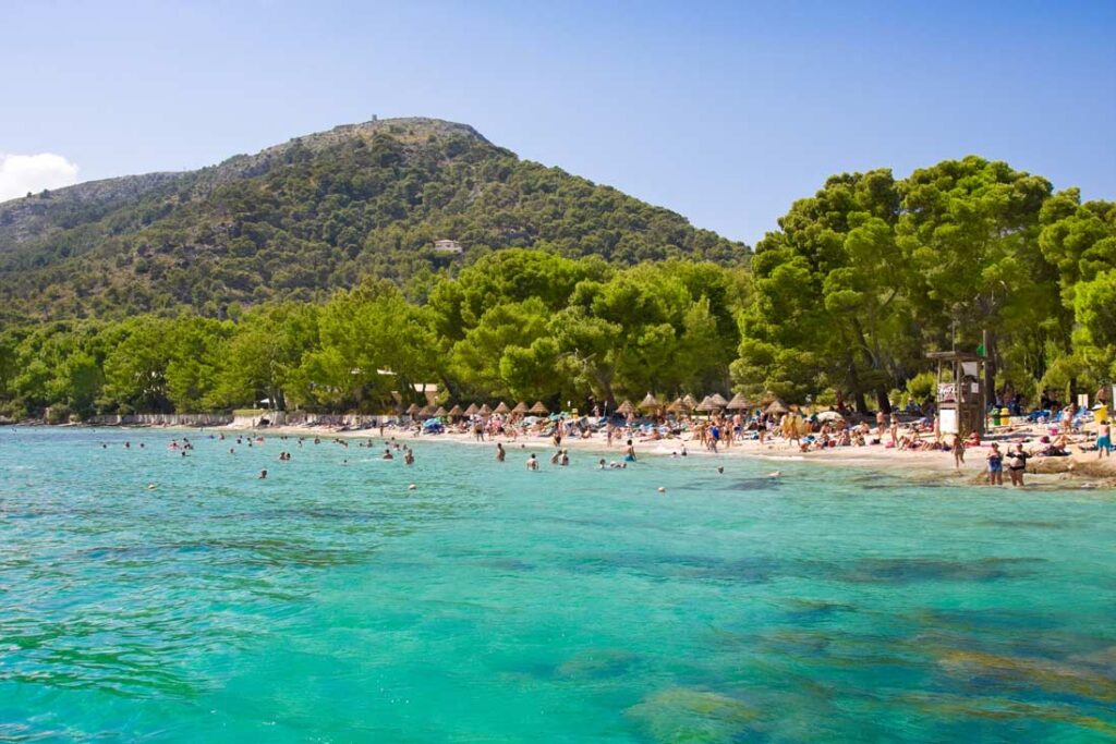 cala pi de la posada o cala formentor en pollenca