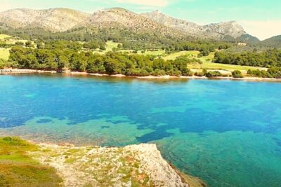 playa alcanada en alcudia