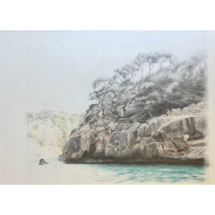 playa calo des parral en art