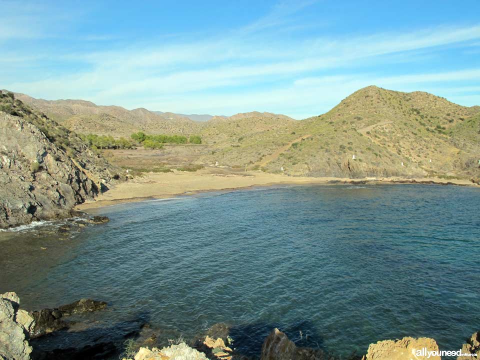 Playa El Pino En Águilas 1 playa el pino en aguilas