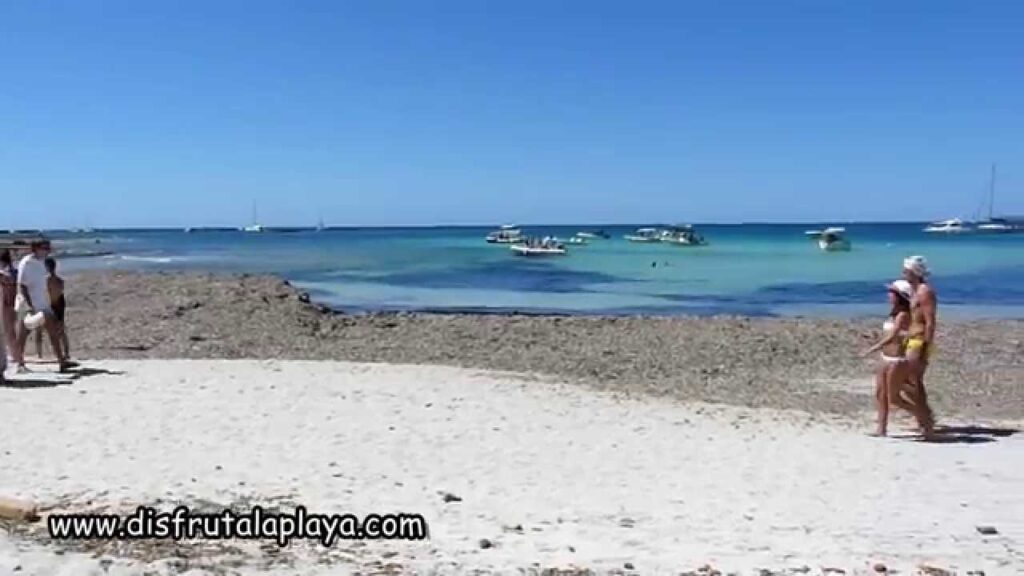 playa es perengons petits