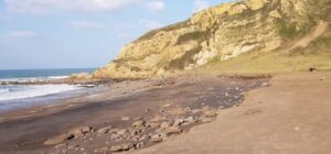 playa gorrondatxe o azkorri en getxo