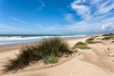 playa la bota en punta umbria