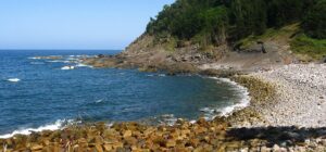 playa lapatza natxitua en ea