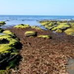 Playa Ogeia en Ispaster 