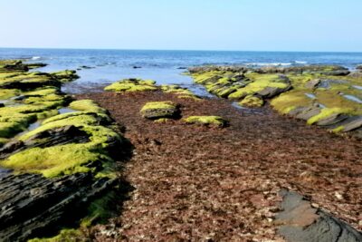 playa ogeia en ispaster