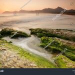 Playa Sa Cánova en Art