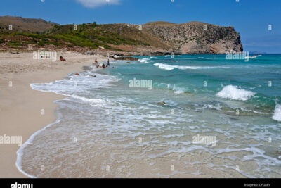 playa sarenalet daubarca en art