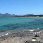 Playa Son Real en Santa Margalida