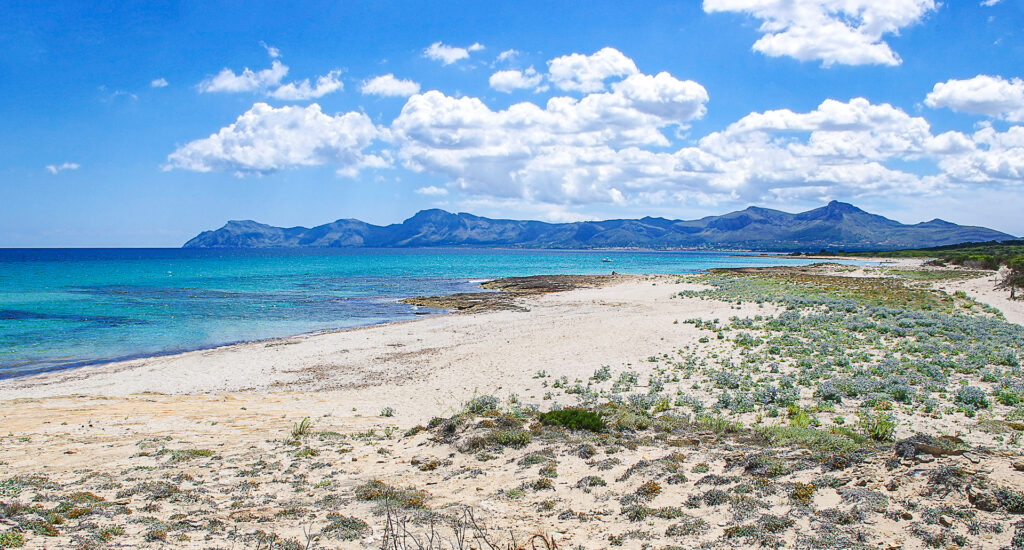 playa son serra de marina en margalida