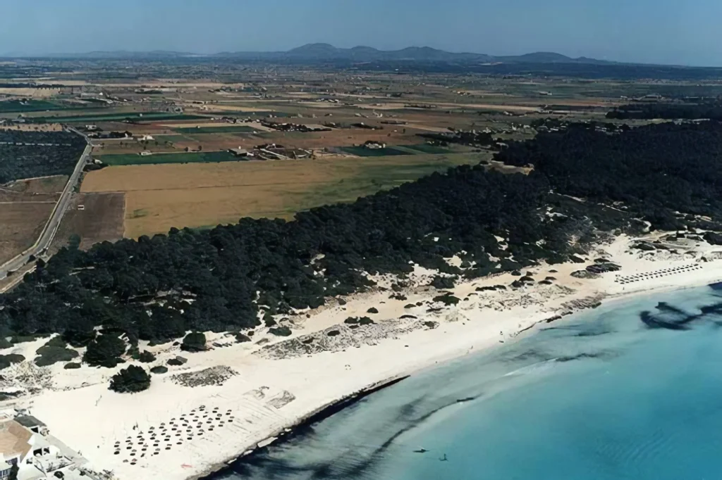 playa sarenal de sa rapita en campos mallorca