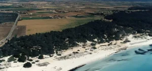 playa sarenal de sa rapita en campos mallorca