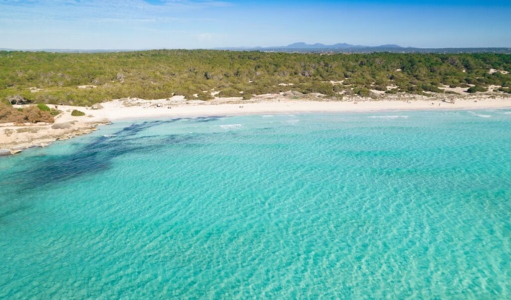 playa ses covetes en campos mallorca